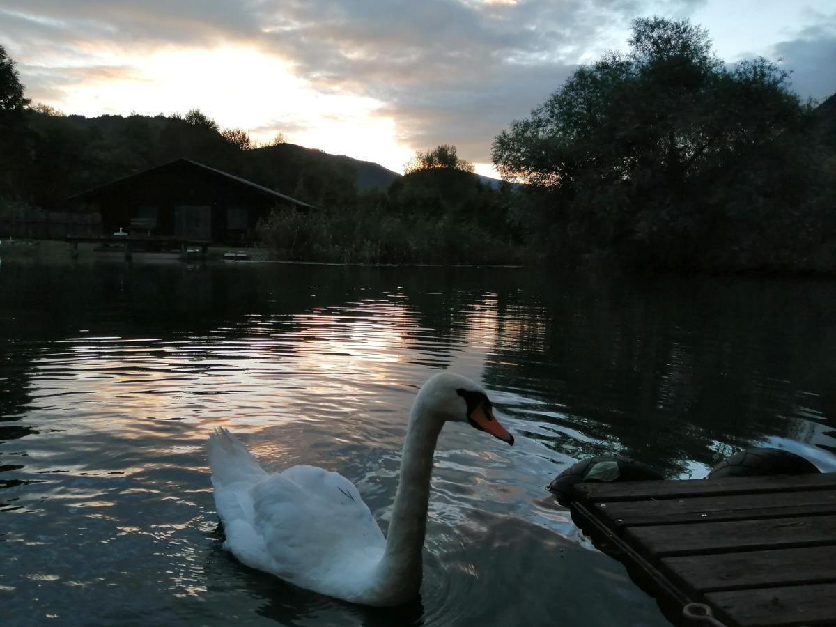 Ferienwohnungen Schiller Landskron Bagian luar foto