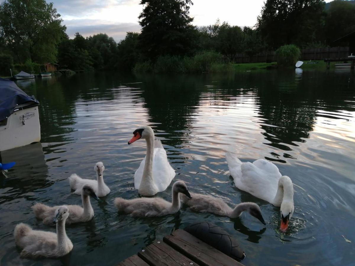 Ferienwohnungen Schiller Landskron Bagian luar foto