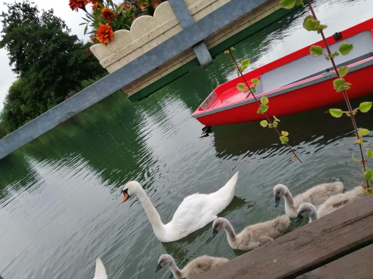 Ferienwohnungen Schiller Landskron Bagian luar foto